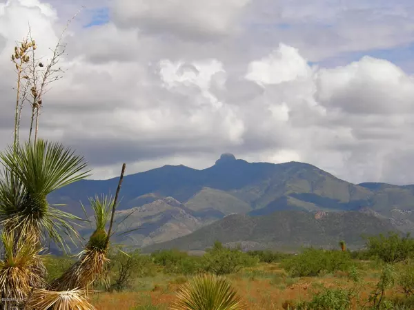 Willcox, AZ 85643,TBD S Covered Wagon Road #71