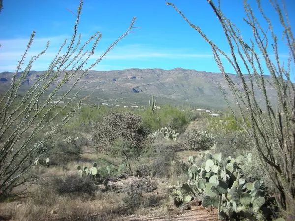 Tucson, AZ 85747,TBD E Camino Dorotea Road