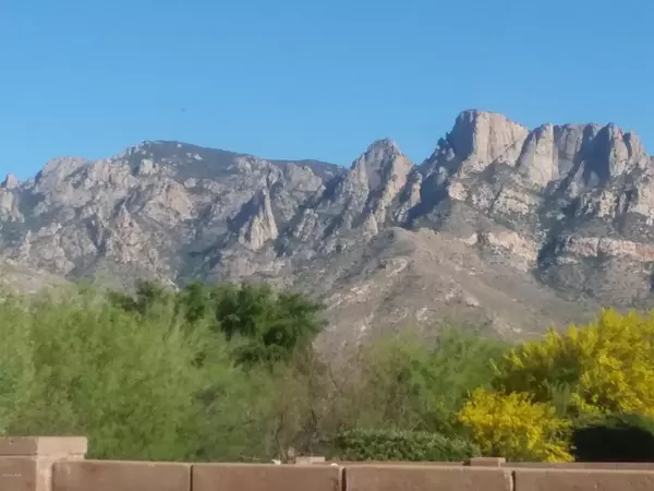 Oro Valley, AZ 85737,1451 E Ganymede Drive