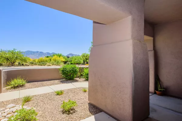 Oro Valley, AZ 85755,12129 N Washbed Drive