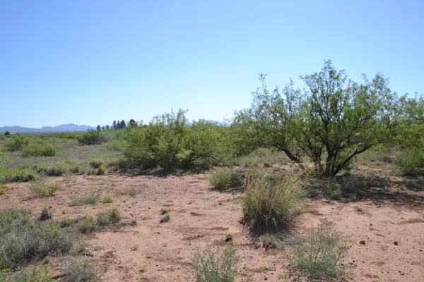 27.62 Ac Highway 191  #-, Douglas, AZ 85607