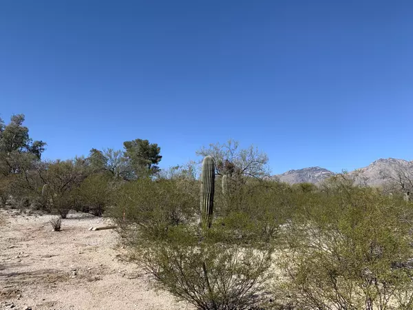 9055 E Bear Canyon E Place #2, Tucson, AZ 85749