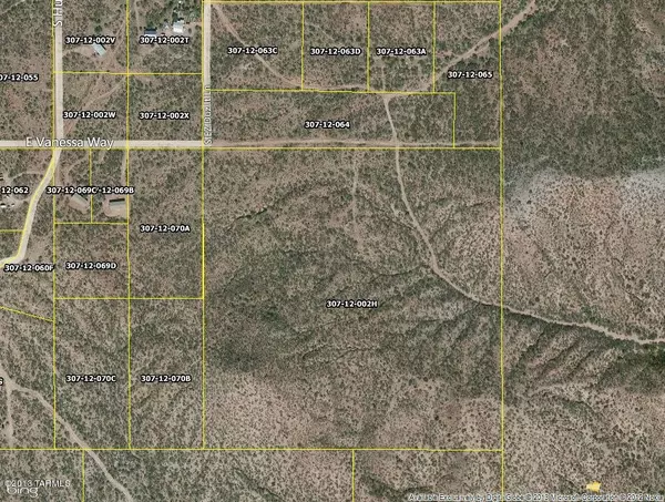 Oracle, AZ 85623,N 20 Acres Vanessa East Way #0