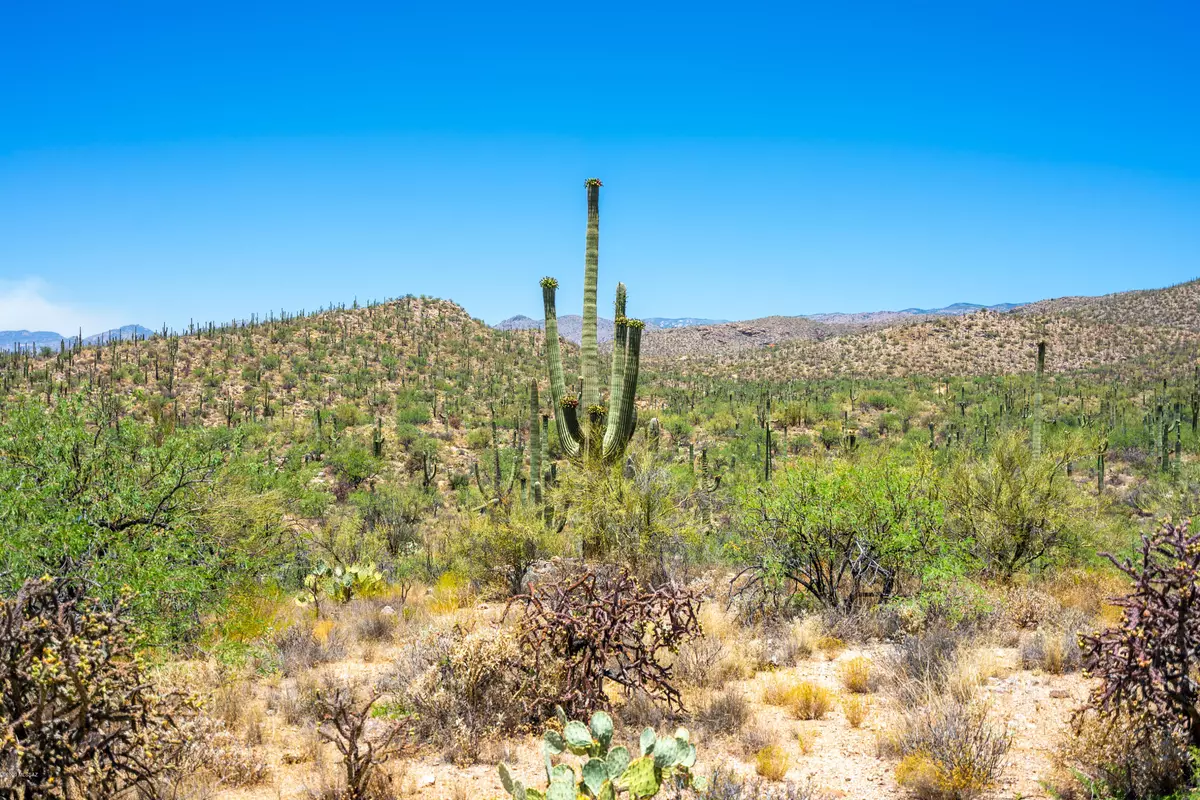 Tucson, AZ 85749,0 N Camino Cascabel