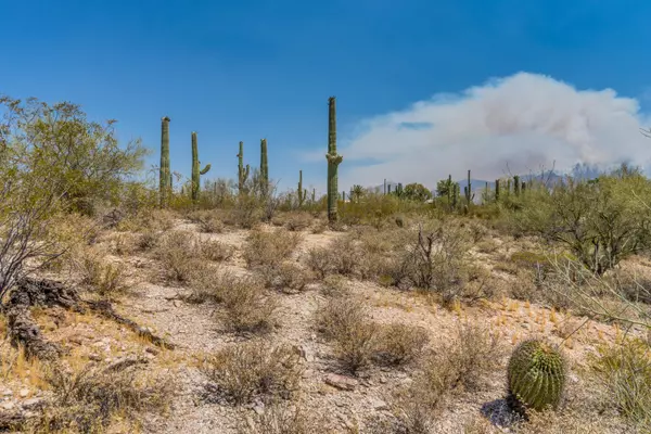 Tucson, AZ 85718,5320 N Camino Escuela  #89