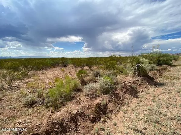 Douglas, AZ 85607,No Address N Calle La Quinta  #224