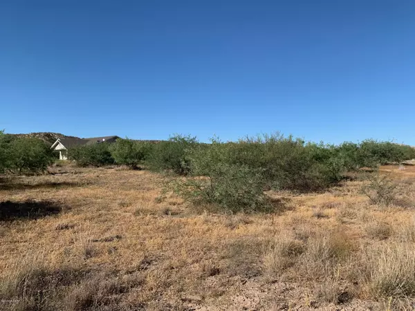 Benson, AZ 85602,3.47 ac N Alvie Lee Lane