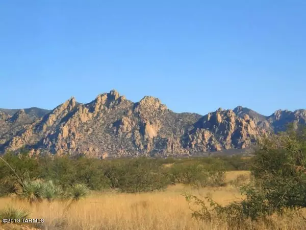 Lot 159 E Diamondback Road #159, St. David, AZ 85630