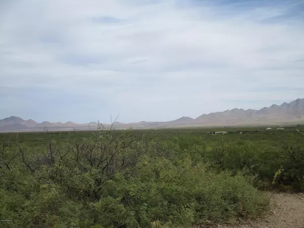 Portal, AZ 85632,TBD W Mesquite Lane