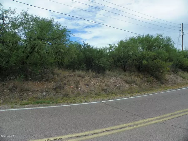 Rio Rico, AZ 85648,663 Peck Canyon Drive #171