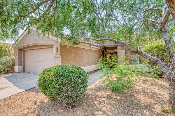 Marana, AZ 85658,13059 N Sunrise Canyon Lane