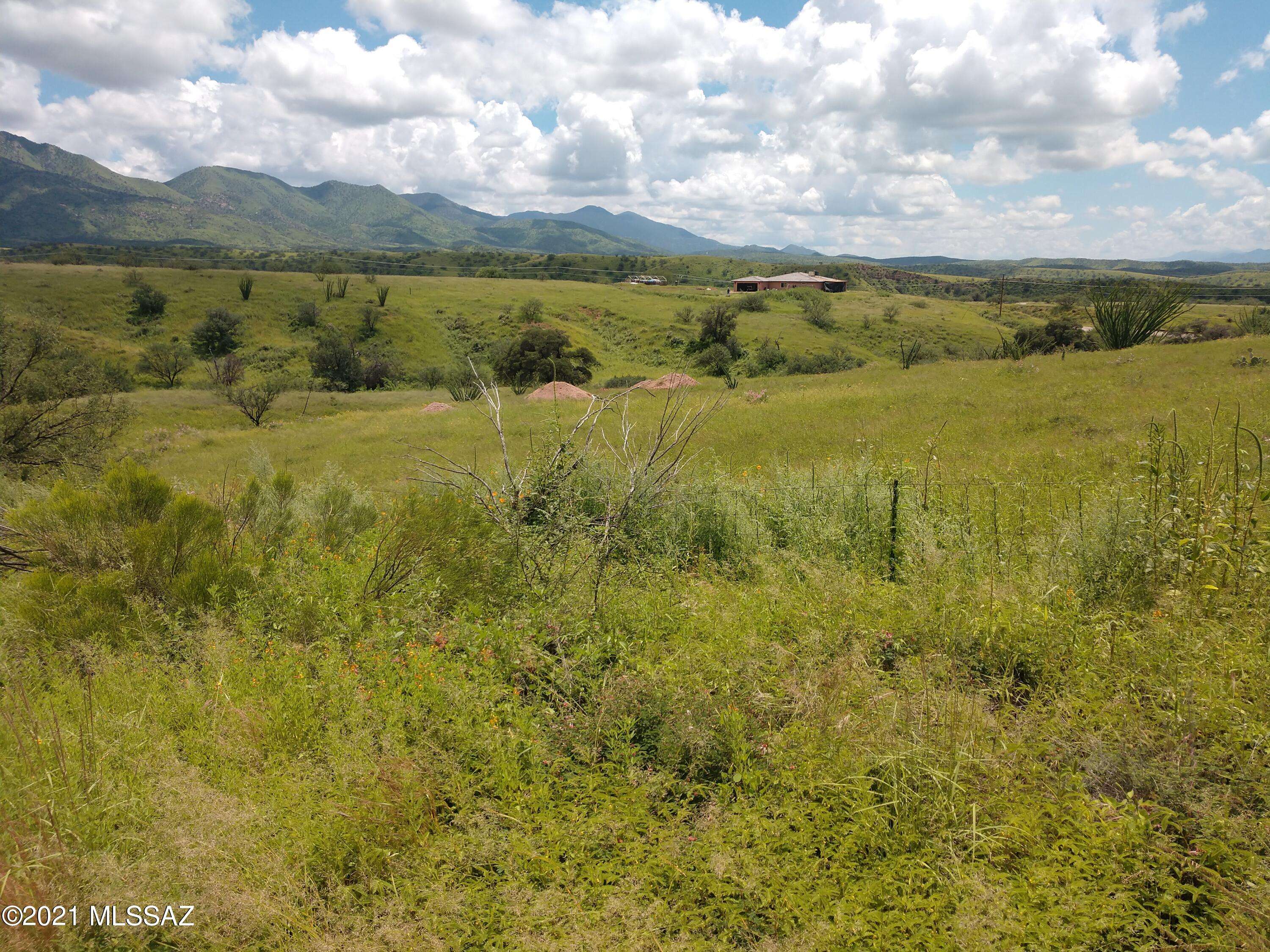 Patagonia, AZ 85624,21 Mayas Court #47
