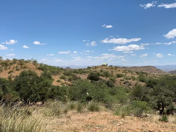 Elfrida, AZ 85610,19.52 ac W Cross C Ranch Road #13C