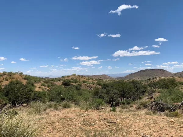 Elfrida, AZ 85610,19.52 ac W Cross C Ranch Road #13C