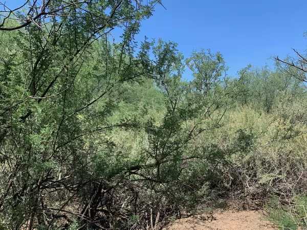 Tubac, AZ 85646,TBD Bridge Road  #13B