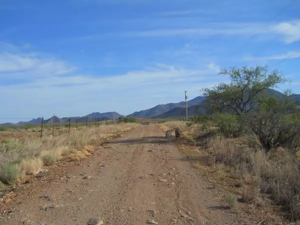 Willcox, AZ 85643,TBD S Jeffords Trail  #46