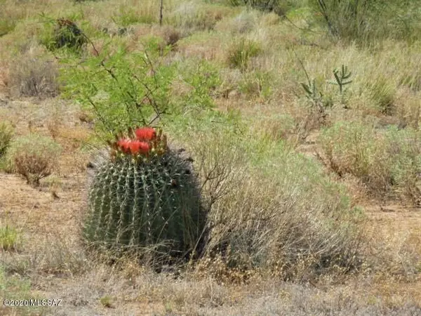 Benson, AZ 85602,lot 19 N San Pedro Ranch Road #19