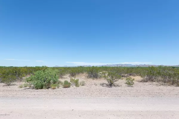 San Simon, AZ 85632,TBD W Coyote Song Road