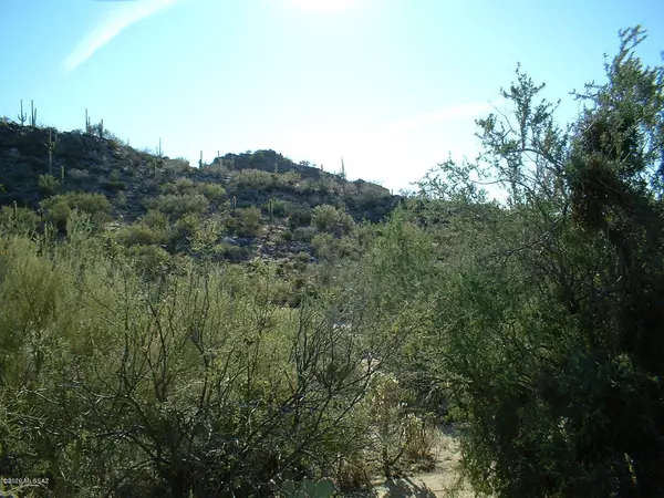 Marana, AZ 85658,13870 N Dove Canyon Pass  #3