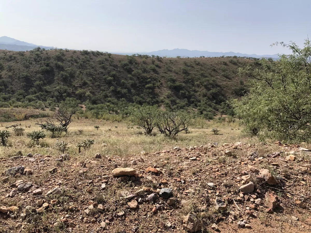 Patagonia, AZ 85624,TBD Lado De Loma Drive #13