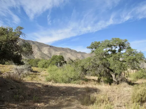 San Simon, AZ 85632,26 Acres W Hilltop Road