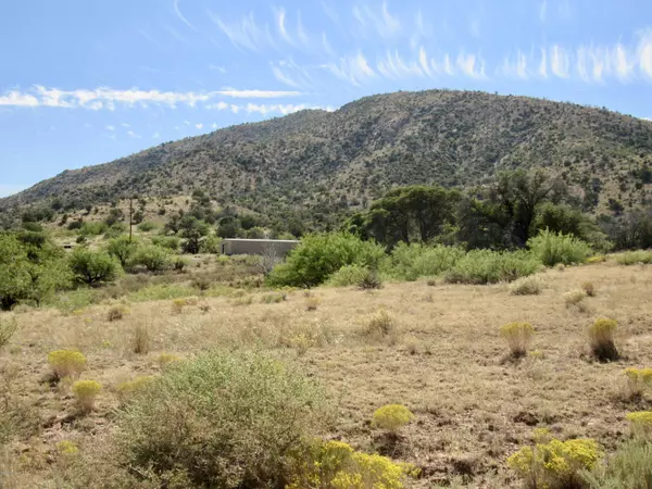 San Simon, AZ 85632,26 Acres W Hilltop Road