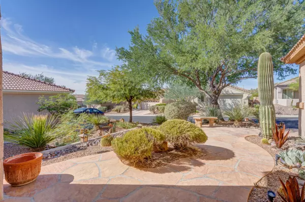 Marana, AZ 85658,13518 N Holly Grape Drive