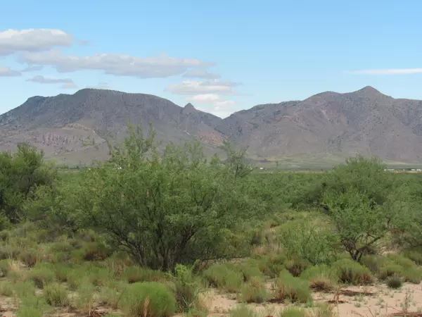 Portal, AZ 85632,160 acres Renegade Lane and Badger Way  #160