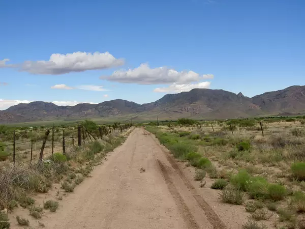 Portal, AZ 85632,160 acres Renegade Lane and Badger Way  #160