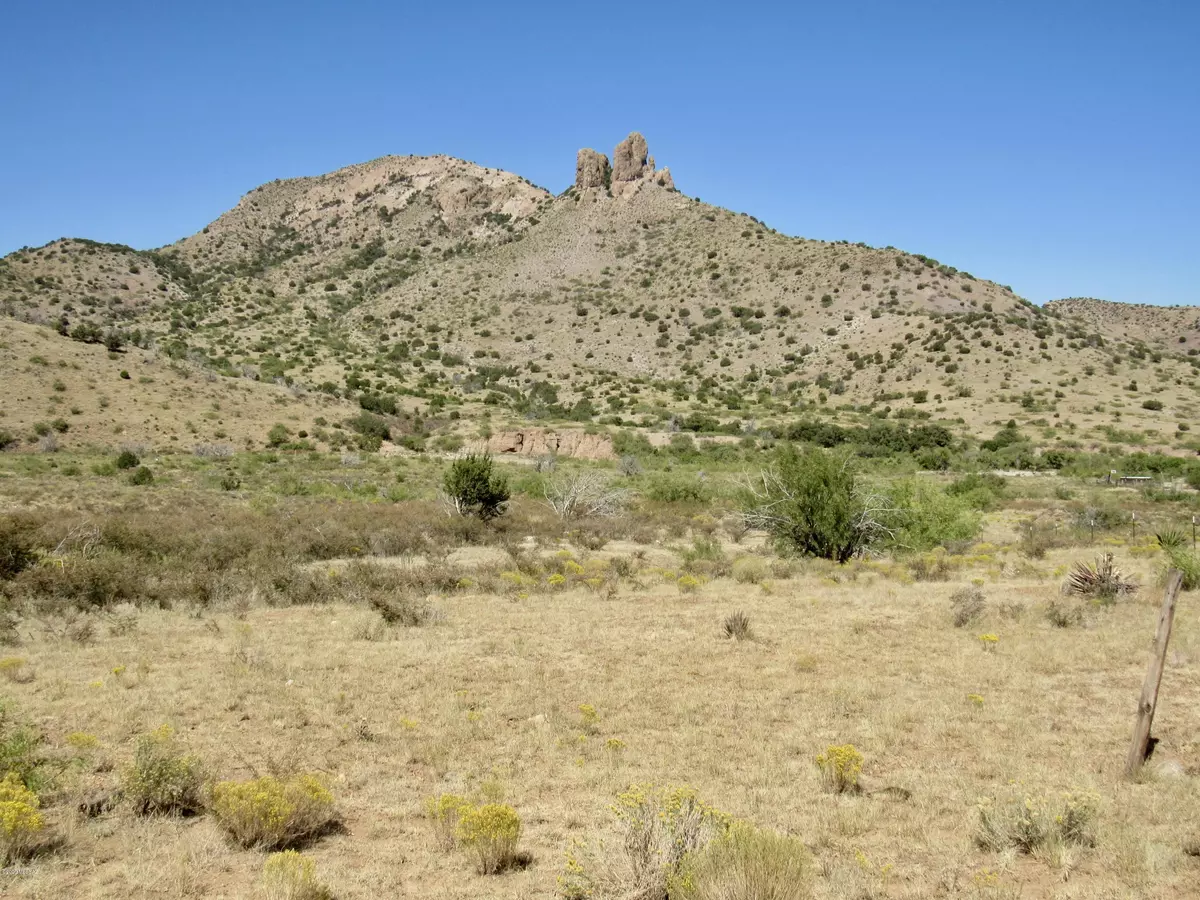 San Simon, AZ 85632,19 Acres W Hilltop Road