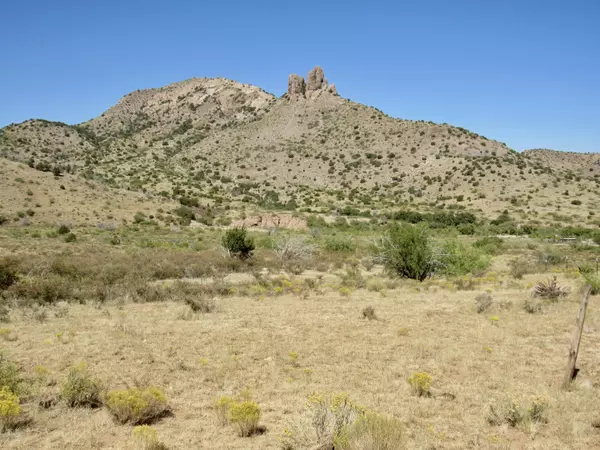 19 Acres W Hilltop Road, San Simon, AZ 85632