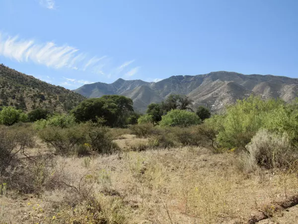 San Simon, AZ 85632,19 Acres W Hilltop Road