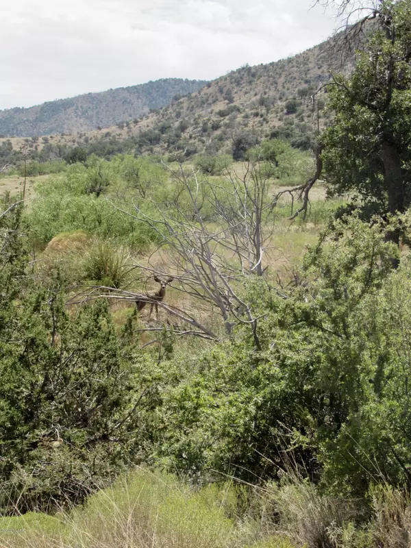 San Simon, AZ 85632,19 Acres W Hilltop Road