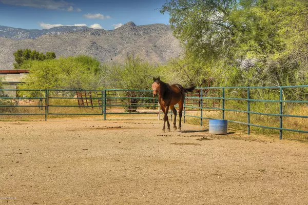 10519 E Tanque Verde Road, Tucson, AZ 85749