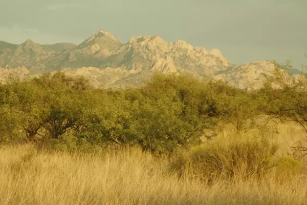 St. David, AZ 85630,Lot 43 N De Vaca Circle #Lot 43