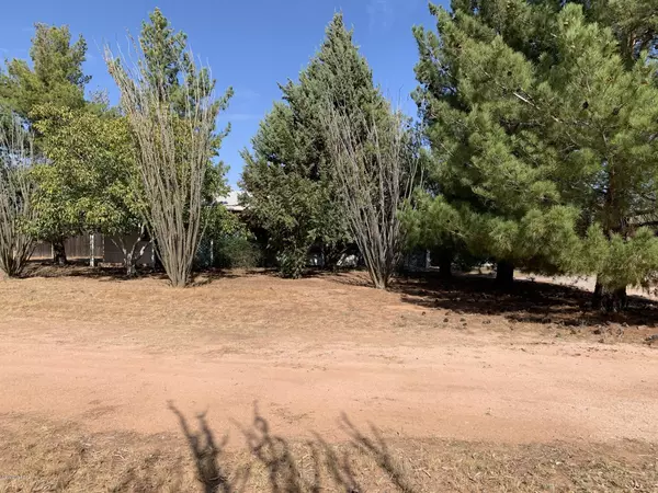 Benson, AZ 85602,251 S Cochise Lane