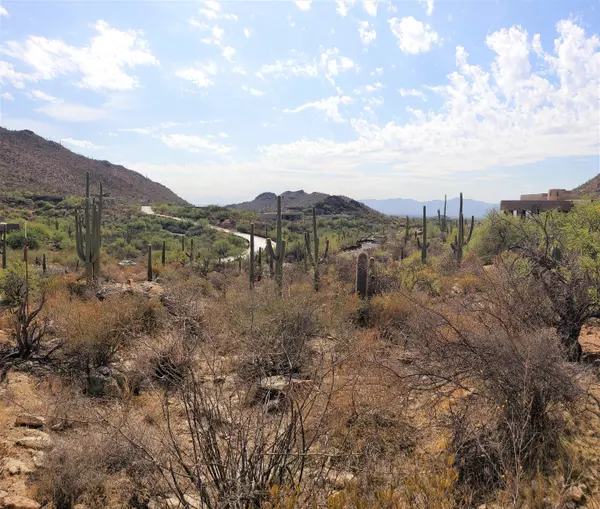 14589 N Dove Canyon Ps N Pass ##62, Marana, AZ 85658