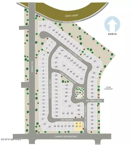 Tucson, AZ 85756,7196 S Via Gaucho Viejo