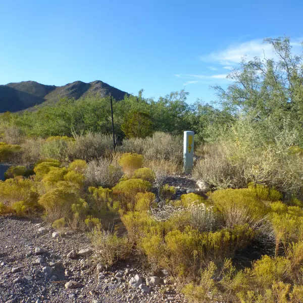 Portal, AZ 85632,4 ac W BoMa Trail #4