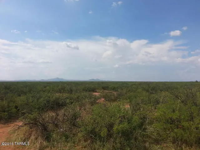 Mc Neal, AZ 85617,037 Tombstone Valley Ranches  #37