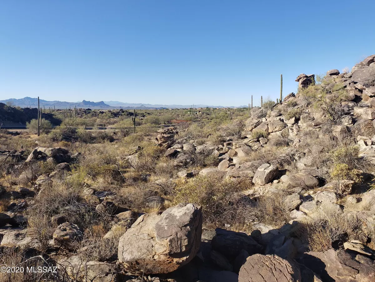 Marana, AZ 85658,4520 W Horizon Ridge Drive #lot 262