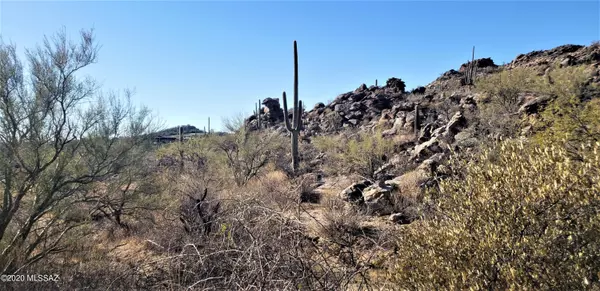 Marana, AZ 85658,4520 W Horizon Ridge Drive #lot 262