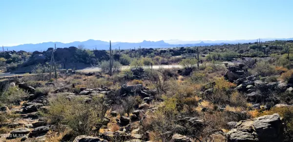 Marana, AZ 85658,4520 W Horizon Ridge Drive #lot 262