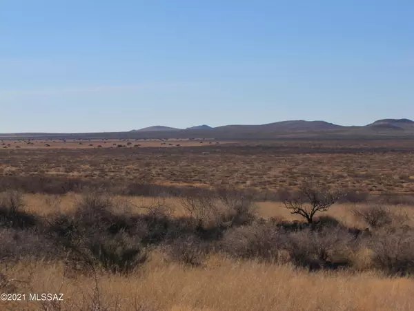 Pearce, AZ 85625,TBD Mule Deer  #N/A