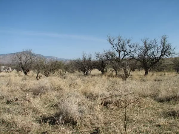 Benson, AZ 85602,4 Acres N Mama Fish Road