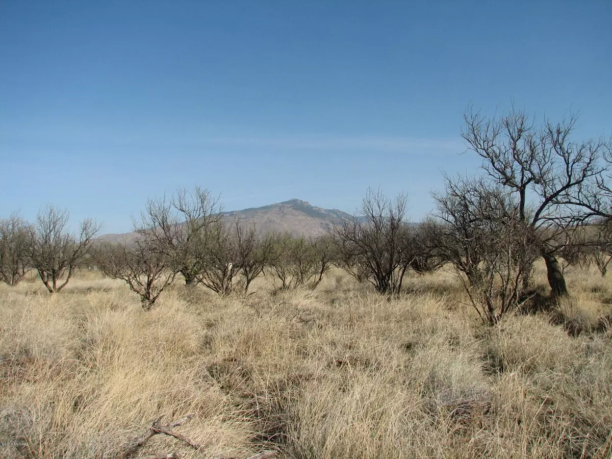 Benson, AZ 85602,4 Acres N Mama Fish Road