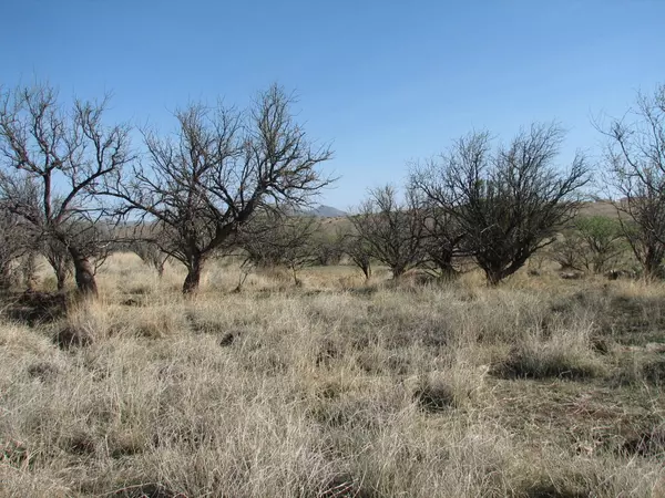 Benson, AZ 85602,4 Acres N Mama Fish Road