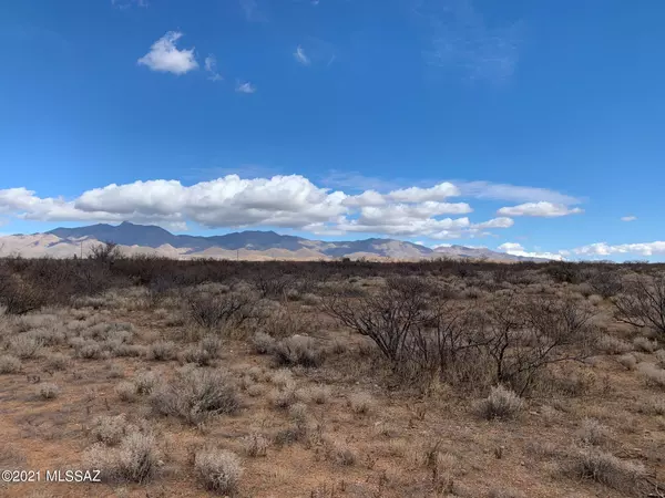 S Covered Wagon  #-, Willcox, AZ 85643