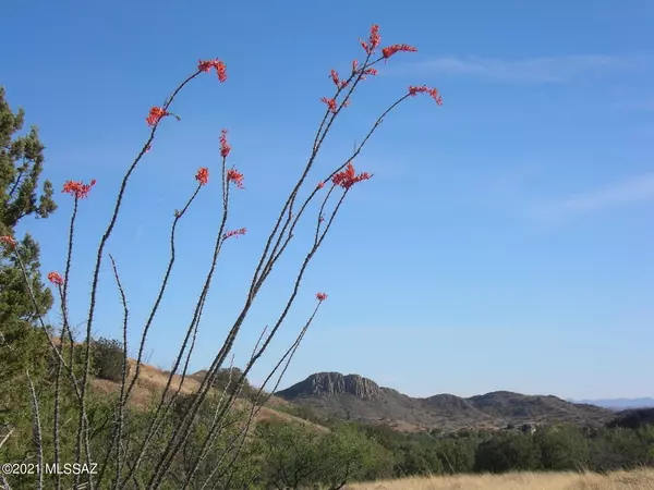 Tubac, AZ 85646,TBD Montezuma Well Road #163/5