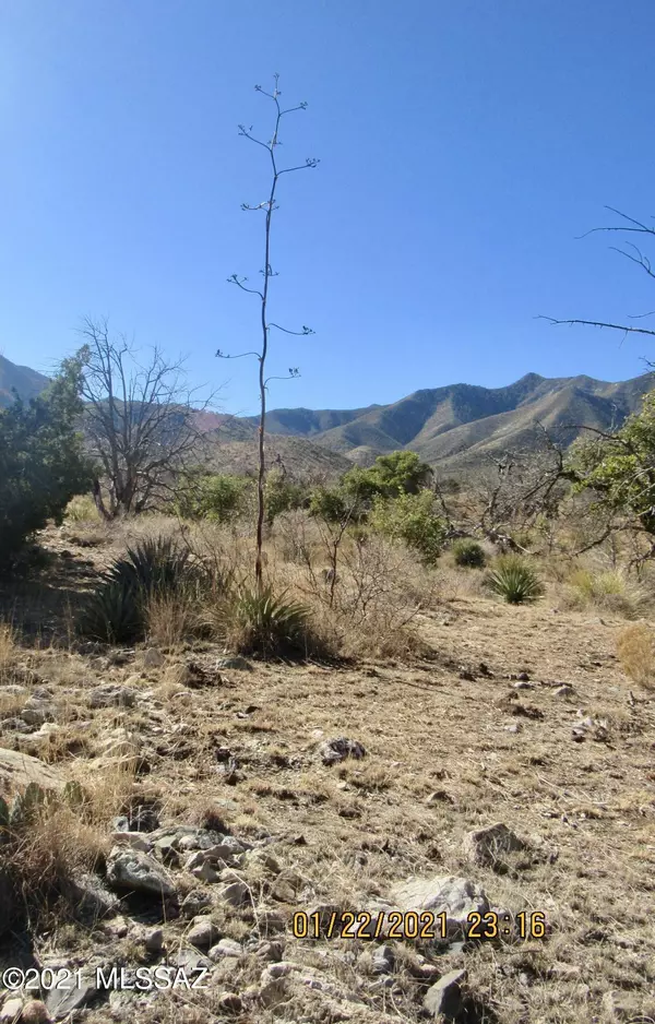 San Simon, AZ 85632,5.09 Acres W Hilltop Road